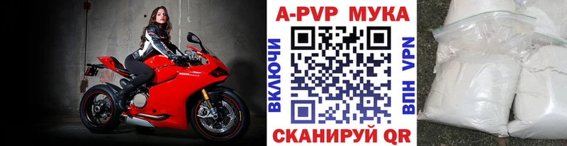 A PVP СК КРИС Мезень