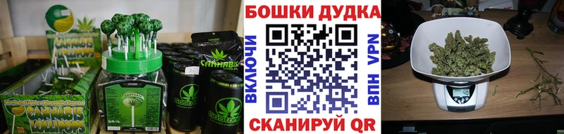 Cannafood конопля  Купить где  Мезень 