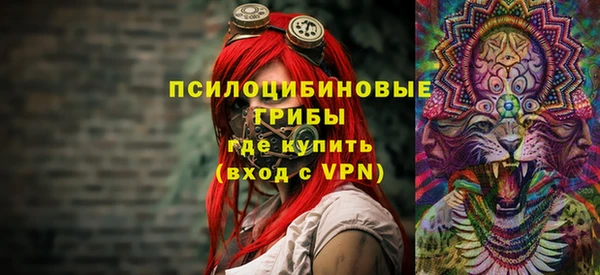 дживик Вяземский