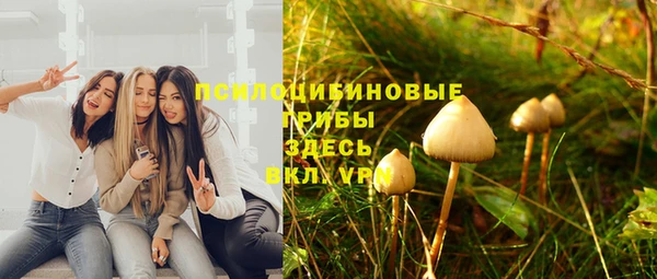spice Вязники
