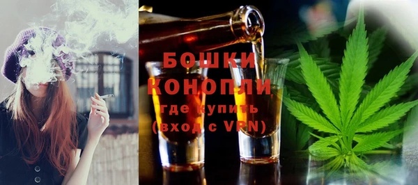 индика Волосово
