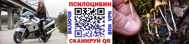 Псилоцибиновые грибы прущие грибы  Купить закладки  Мезень 